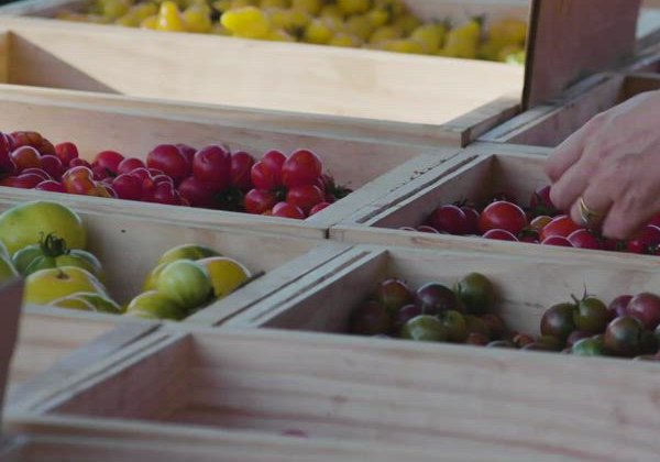 Tomates e frutas frescas em caixotes de feira
